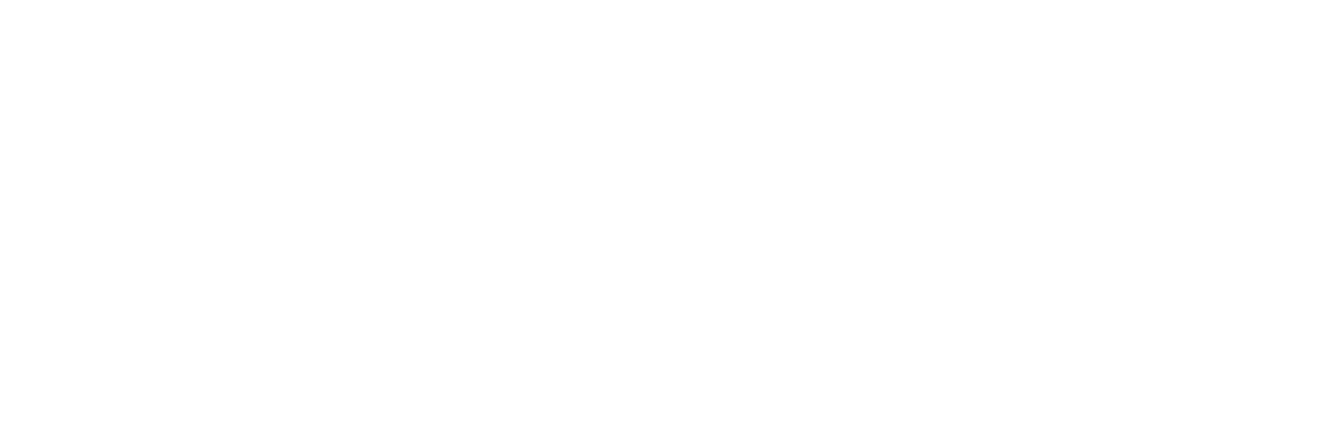 Cheval des Andes